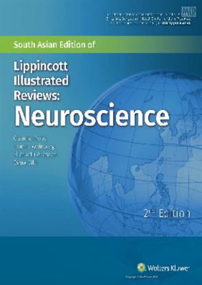 lippincotts illustrated q&a review of neuroscience free download